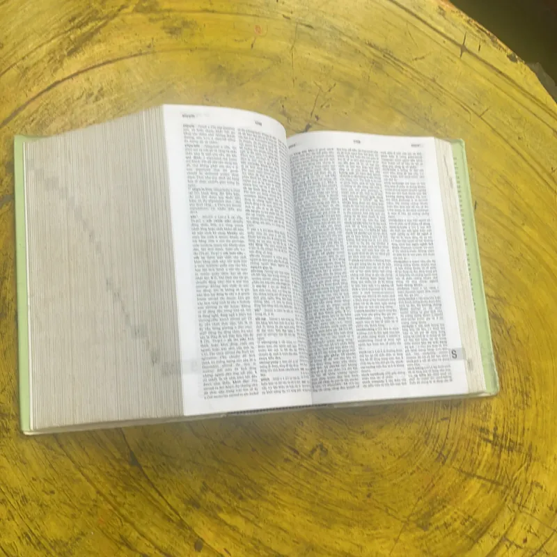 TỪ ĐIỂN ANH - VIỆT - ENGLISH- VIETNAMESE DICTIONARY  699413