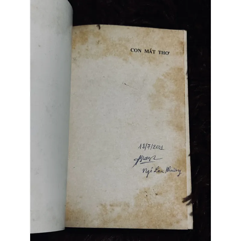 Con mắt thơ - Đỗ Lai Thuý 711336