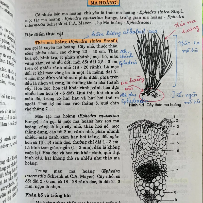Combo sách Dược liệu 1-2 và độc chất học 756932
