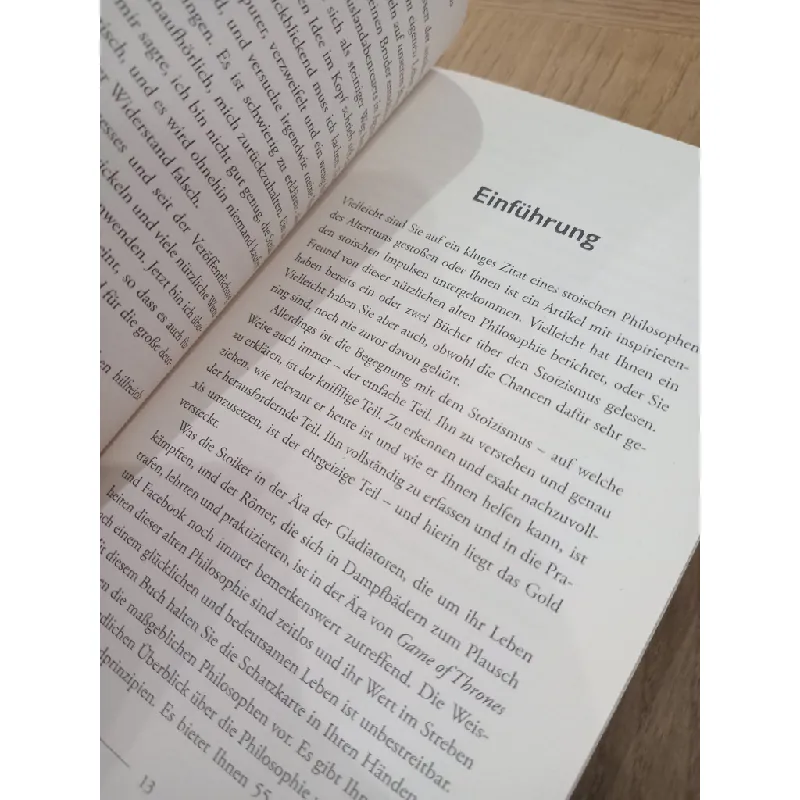 Das kleine handbuch des stoizismus - Jonas Salzgeber 674501