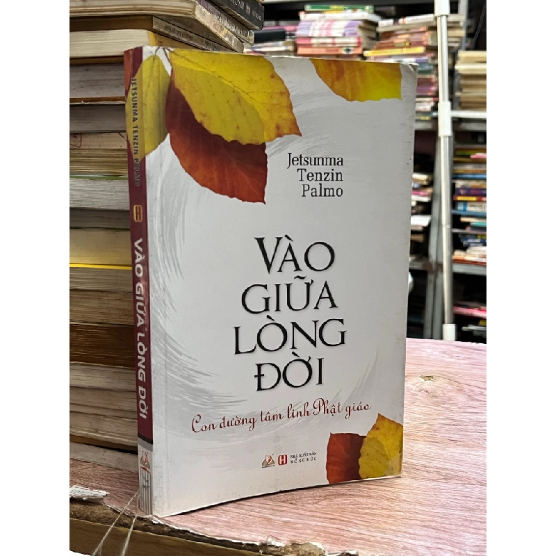 Vào giữa lòng đời - Jetsunma Tenzin Palmo 473067