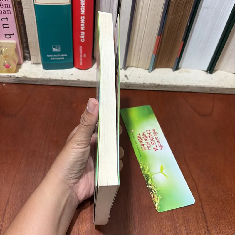 II Chiêm Nghiệm: Điều Gì Khiến Chúng Ta Hiện Hữu Trên Đời - Nhiều Tác Giả - 2015 726901