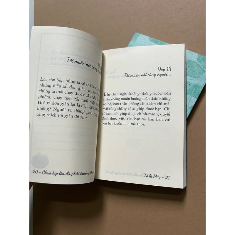 Chưa kịp lớn đã phải trưởng thành (bộ 2 quyển) 605206