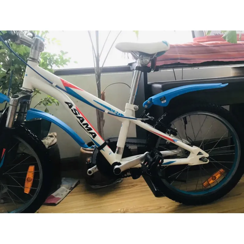 Xe đạp Asama  779225