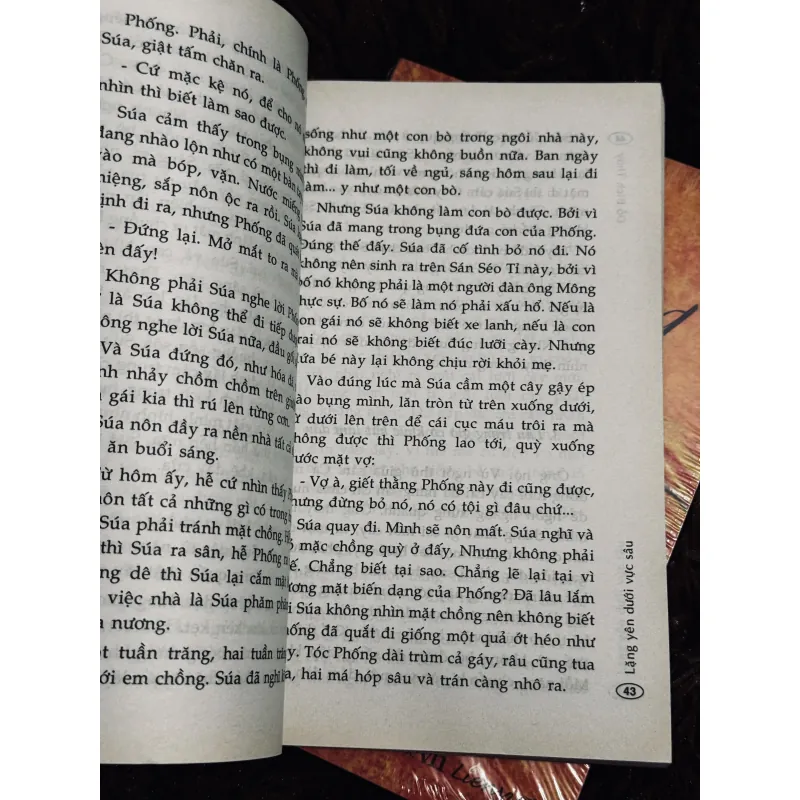 Sách Đỗ Bích Thuý 932559