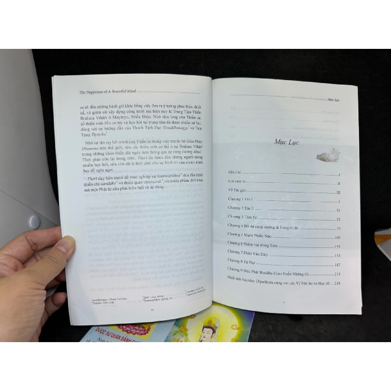 The Happiness Of A Beautiful Mind, Hạnh Phúc Tâm Bình An, Dipankara Theri, Mới 90%, 2018 SBM0609 916816