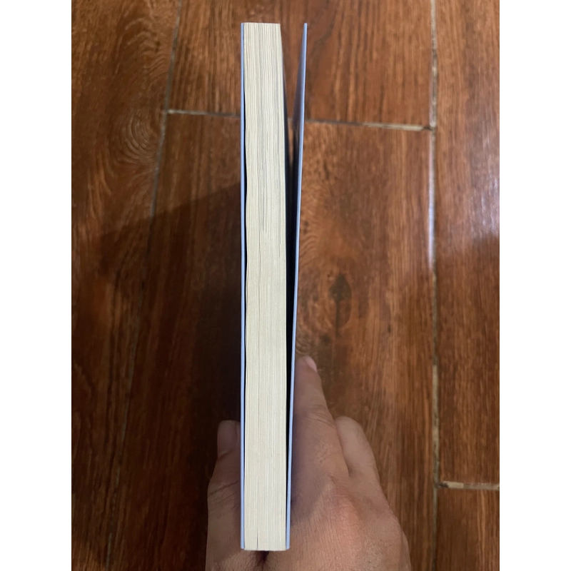 Cánh Chim Trong Gió - Lê Hồng Lâm (o5) 470966