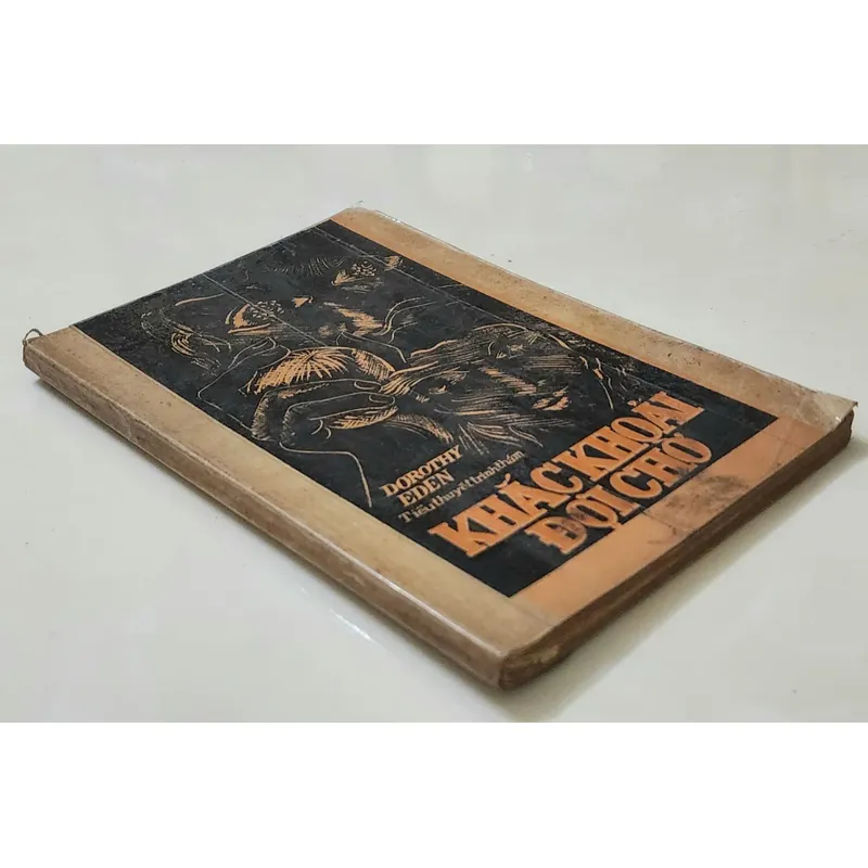 Tiểu thuyết trinh thám cổ điển; Khắc khoải đợi chờ. Tác giả: Dorothy Eden 703954