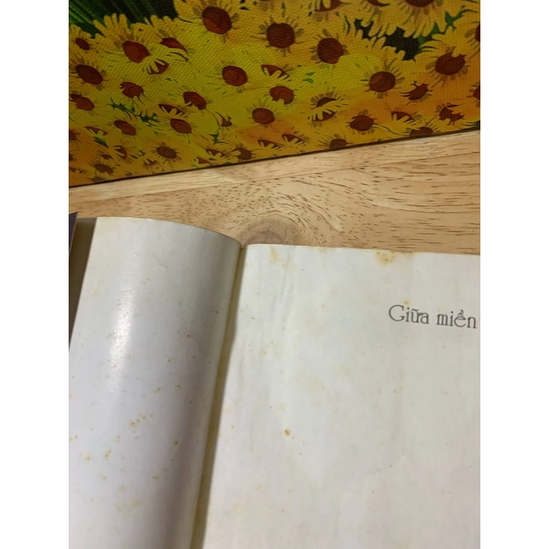 Giữa Miền Đất Ấy - J.M.Coetzee 539887