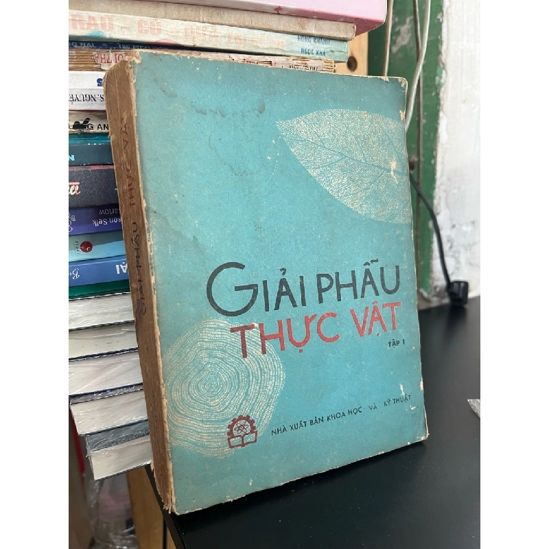 Giải phẫu thực vật 936449