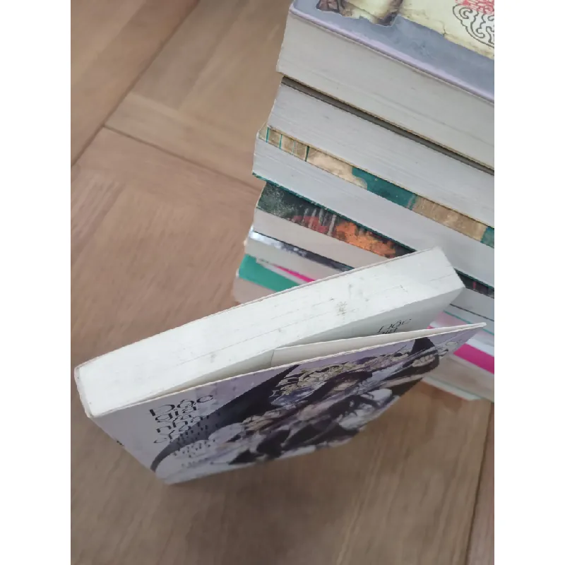 Đọc giả và nhân vật chính đích thị là chân tình 519723