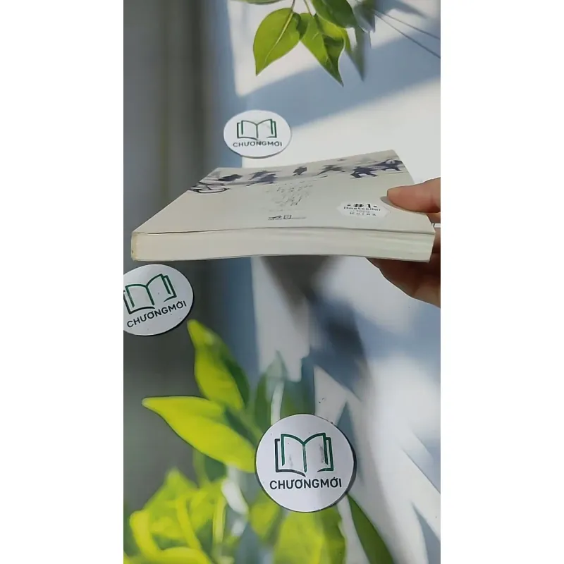 Bước Chậm Lại Giữa Thế Gian Vội Vã 705703