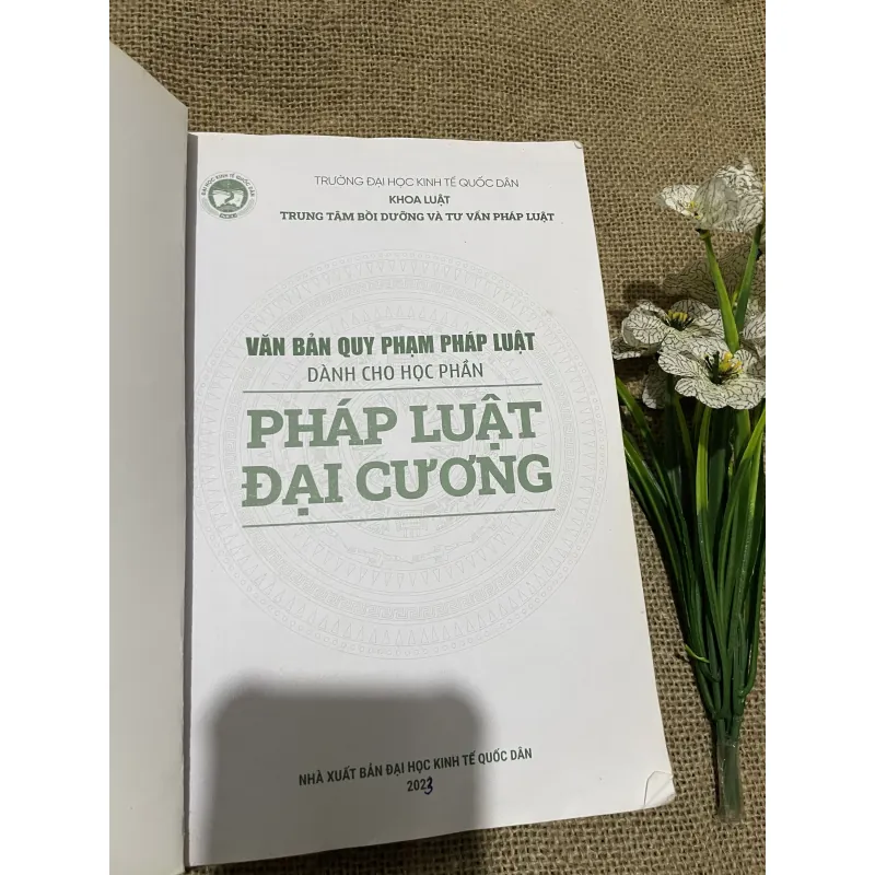 VĂN BẢN QUY PHẠM PHÁP LUẬT DÀNH CHO HỌC PHẦN PHÁP LUẬT ĐẠI CƯƠNG, hơn 300 trang  797718
