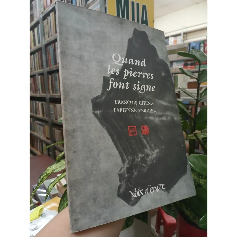 QUAND LES PIERRES FONT SIGNE (KHI ĐÁ BÁO HIỆU) -  FRANÇOIS CHENG, FABIENNE VERDIER 752672
