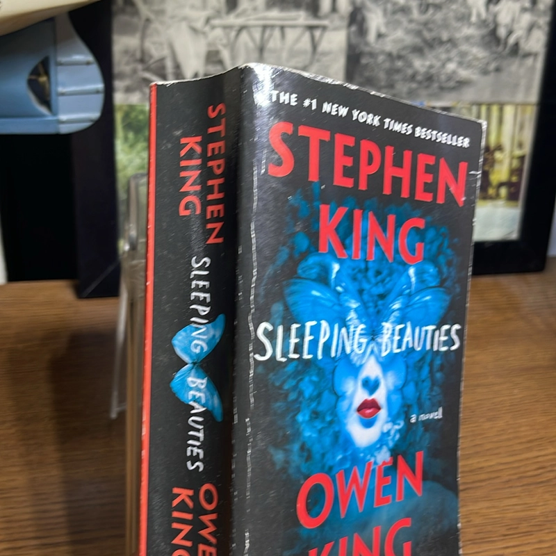 Sleeping beauties Stephen King 494920