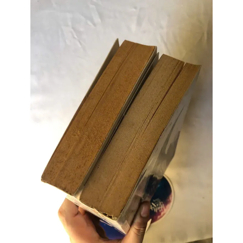 Trọn bộ 2 tập Người Láng Giềng Ánh Trăng - Đinh Mặc 926860