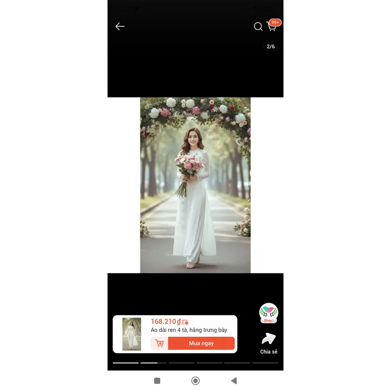 Áo dài truyền thống  711733