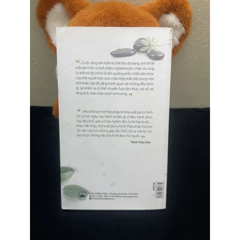 Chuyện Bình Thường-Thích Chân Tính 1003825