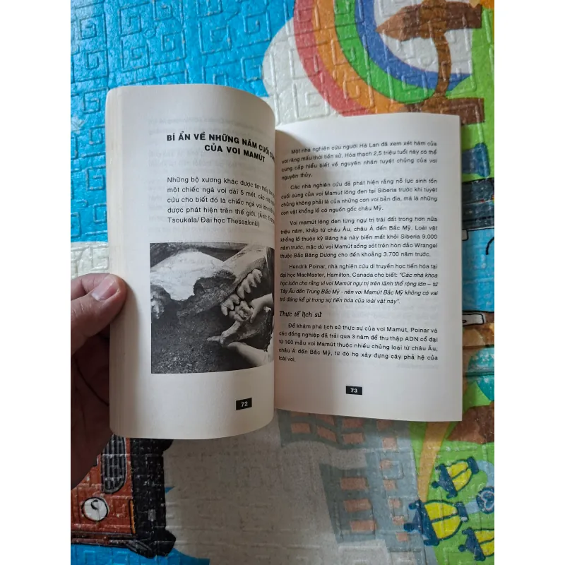 Bí ẩn mãi mãi là bí ẩn - Tập 6 979674