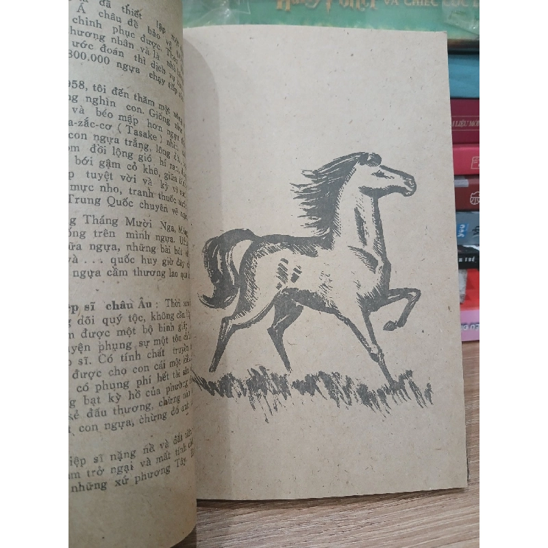 Các Con Vật Trên Rừng Dưới Biển - Đoàn Giỏi 749322