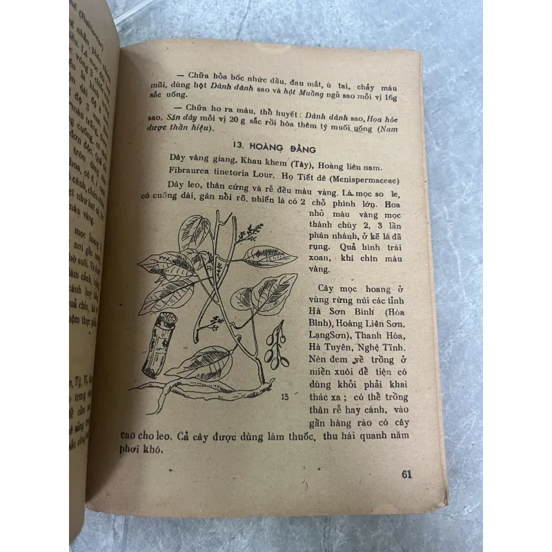 TRỒNG HÁI VÀ DÙNG CÂY THUỐC - LÊ TRẦN ĐỨC 785845