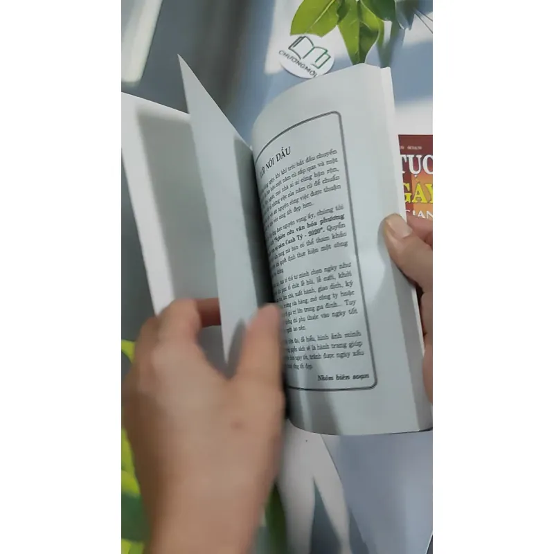 Combo: Phong Tục Chọn Ngày, 365 Ngày Vạn Sự 2020 776187