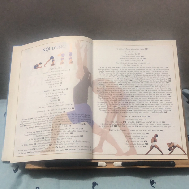 Kỹ thuật và Thực hành Yoga toàn tập - B.K.S. IYENGAR (bìa cứng) 327060