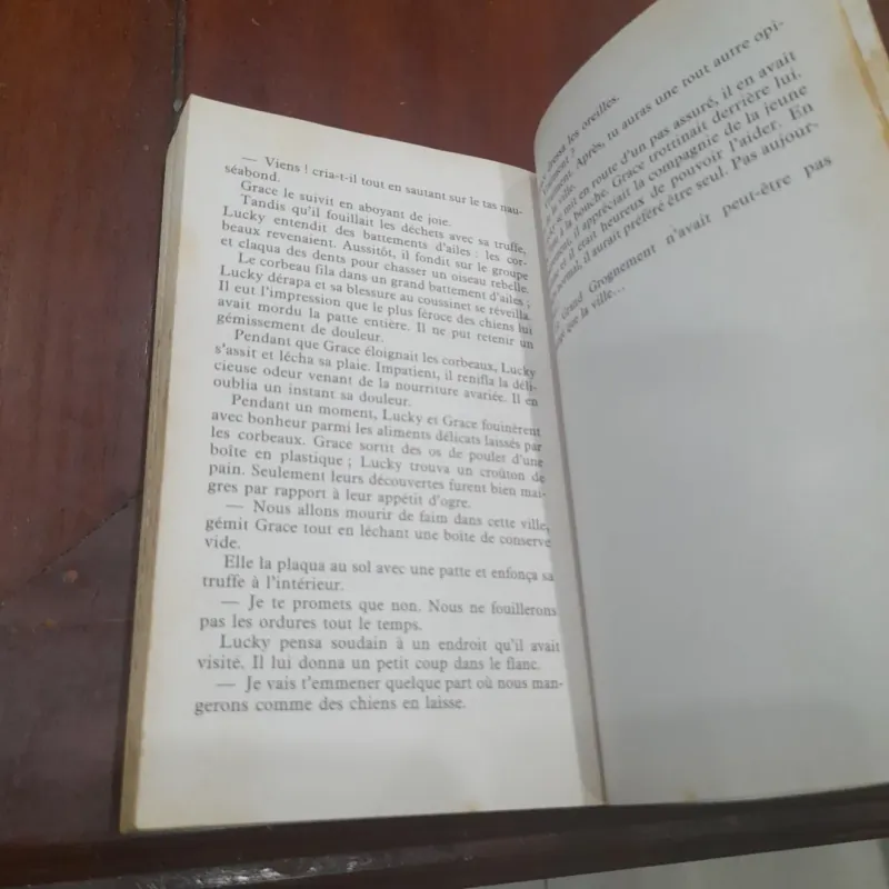 Erin Hunter - LA GUERRE DES CLANS Cycle I - Livre II À feu et à sang 792016