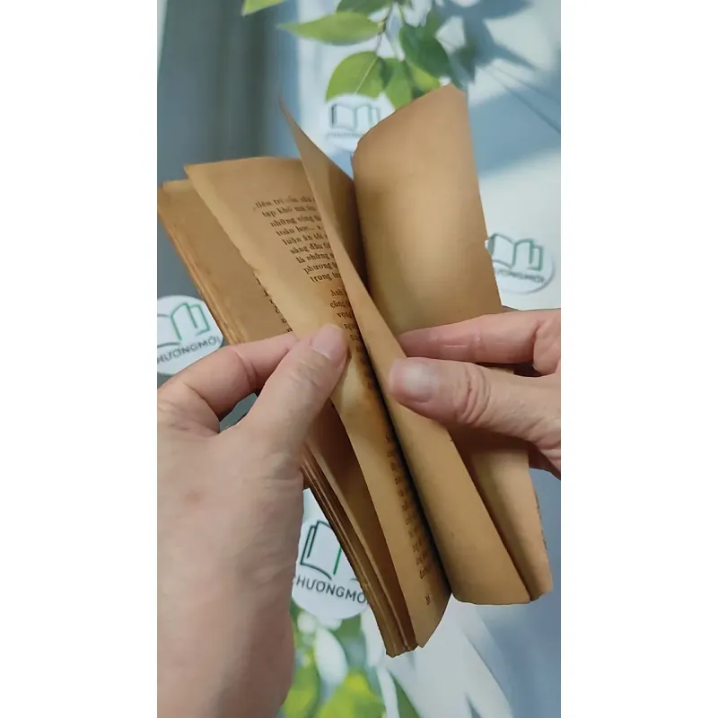 [XƯA] Bí Mật Đại Não (1982) - BS. Cao Trường Thọ 775987