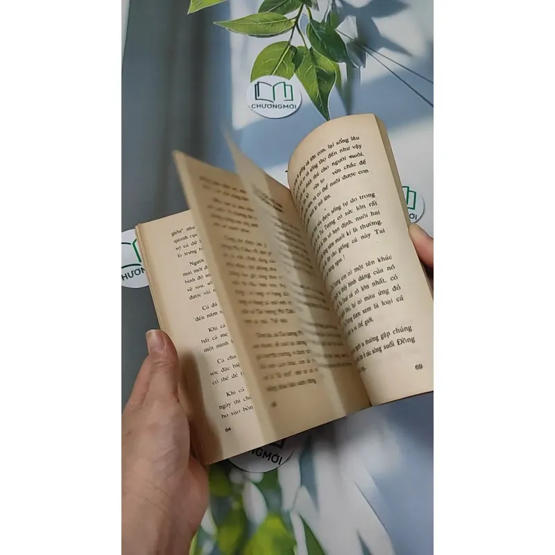 [XƯA] Thú Chơi Cá Kiểng Xưa Và Nay (1996) - Việt Chương 775981