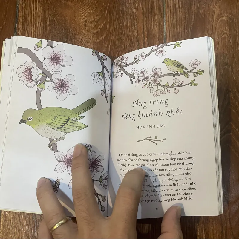 Sống như những cái cây  757898