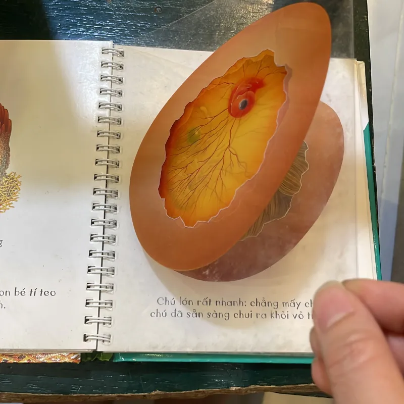 Những khám phá đầu tiên của tớ : Trứng - nhã nam  1027418