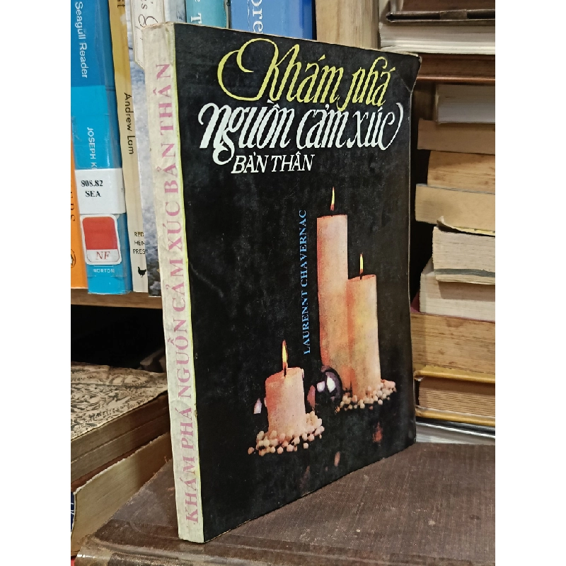 Khám phá nguồn cảm xúc bản thân - Laurennt Chavernac (Trần Thị Phương dịch) 449624