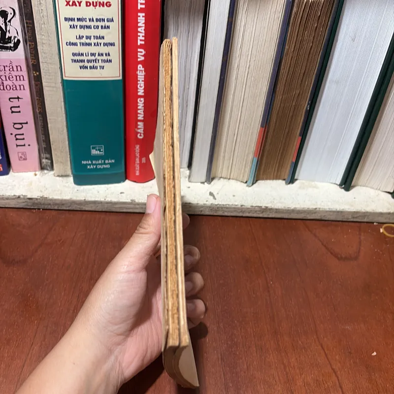 II Sách Phật Giáo: Bản Đồ Tu Phật (Tập 3, 6) - Phật Học Tùng Thư - Thích Thiện Hoa - 1963 776746