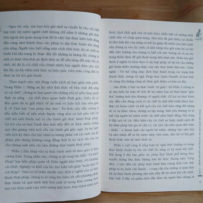 BARDO Hành Trình Liễu Sinh Thoát Tử - Drukpa Việt Nam 461365