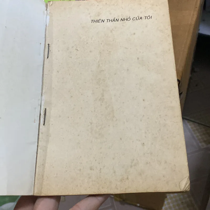 Thiên thần nhỏ của tôi  716565