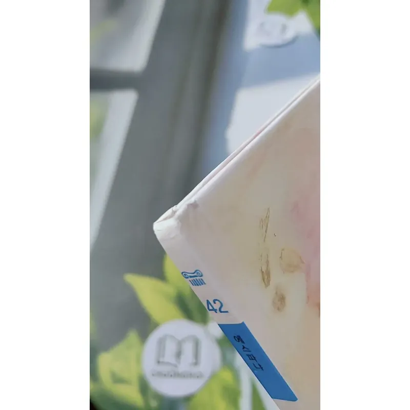 [Tặng nẹp góc] Truyện thiếu nhi Hàn Quốc: Moyamo Anu 42 -  모야모 아누와: 거짓말 나라;. 산 귀신이 된 고집불통 732043