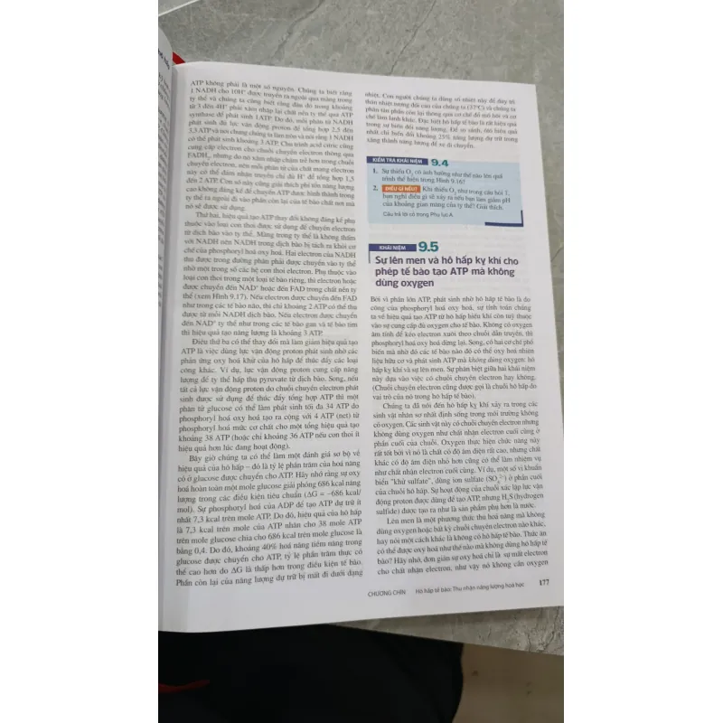 SINH HỌC - TRẦN HẢI NAM 786042