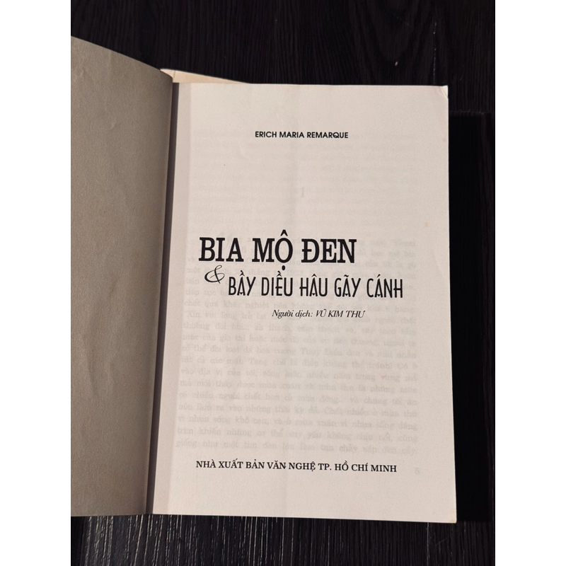 Bia mộ đen + Đêm Lisbon  475461