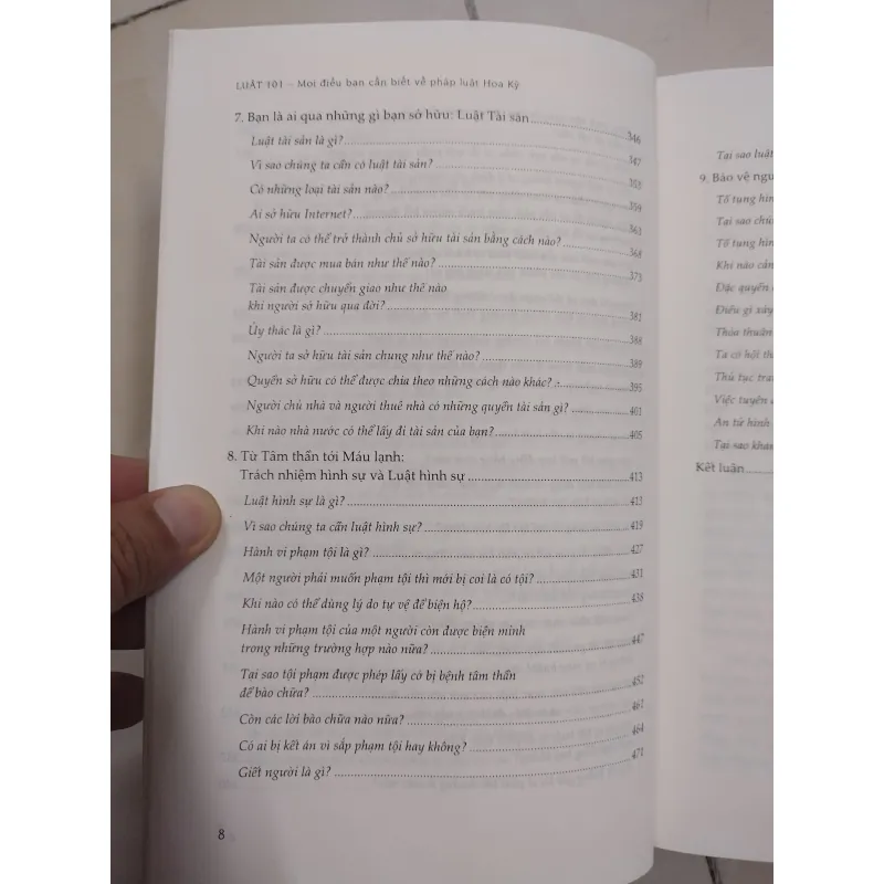 Luật 101 Mọi điều bạn cần biết về pháp luật Hoa Kỳ 995071