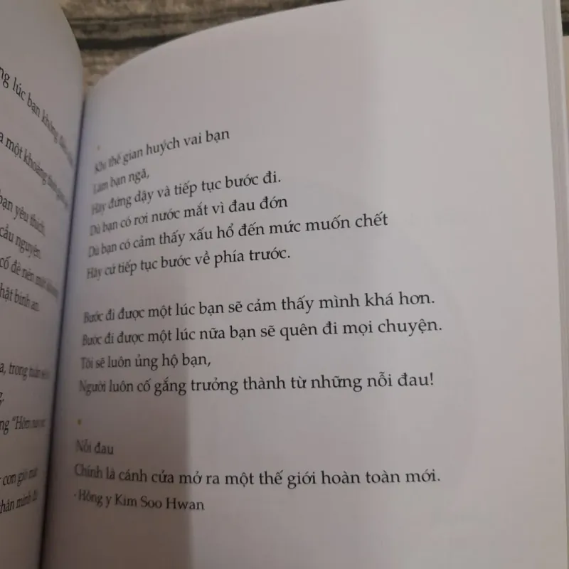 Yêu những điều không hoàn hảo. Tác giả Đại Đức HAE MIN 746626