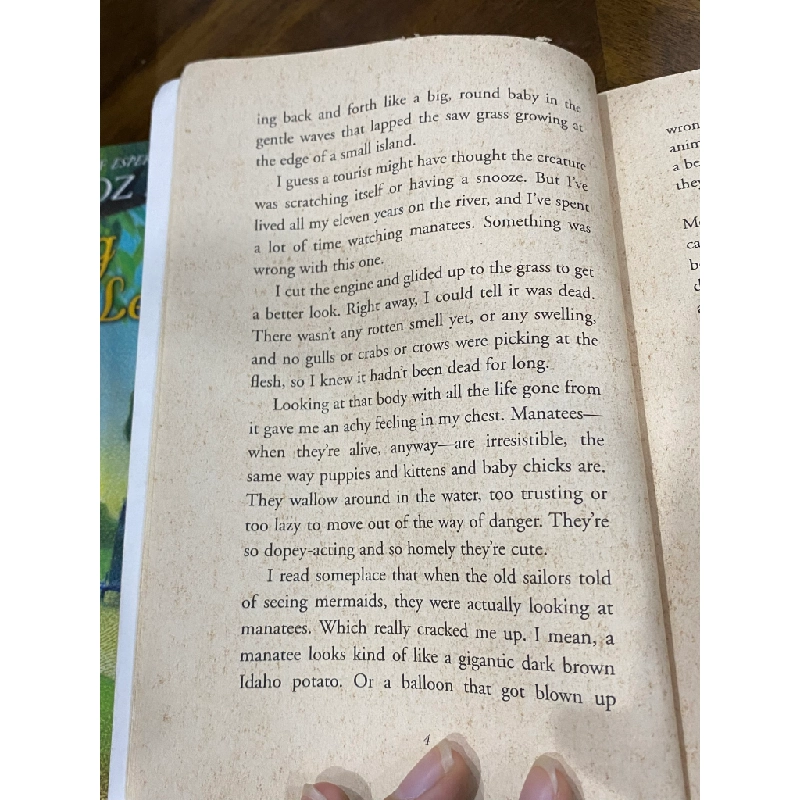 The Missing Manatee - Cynthia Defelice 505428