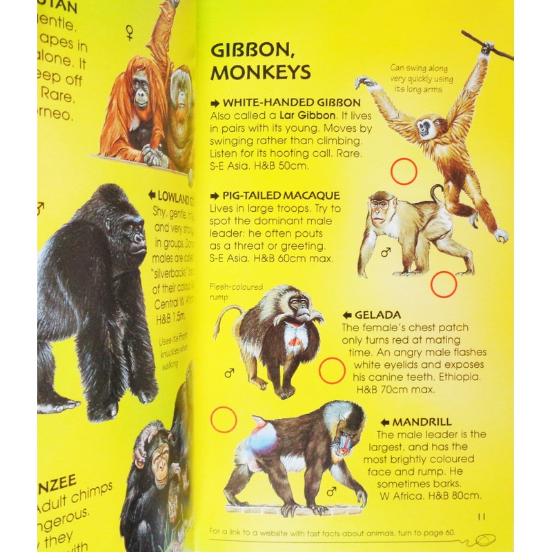 Usborne Spotter's Guides: Wild Animals 195150