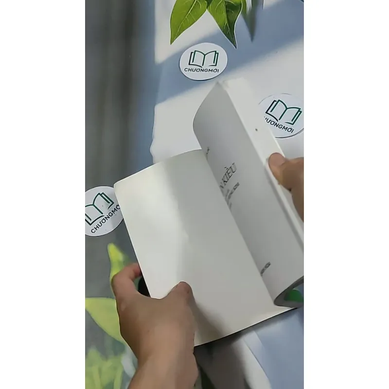 Truyện Kiều 698643