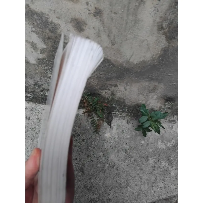 Amerca 's role in Asia ( Asian and American views ) 1021842