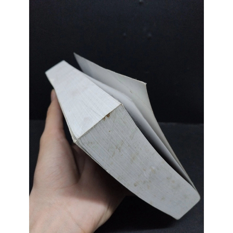 Quản trị rủi ro ngân hàng trong nền kinh tế toàn cầu mới 90% bẩn nhẹ HCM1906 Dương Hữu Hạng SÁCH GIÁO TRÌNH, CHUYÊN MÔN 915787