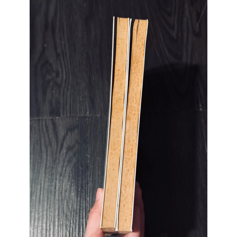 Combo chậm + căn cước - Milan Kundera (có chữ ký dịch giả) 475844