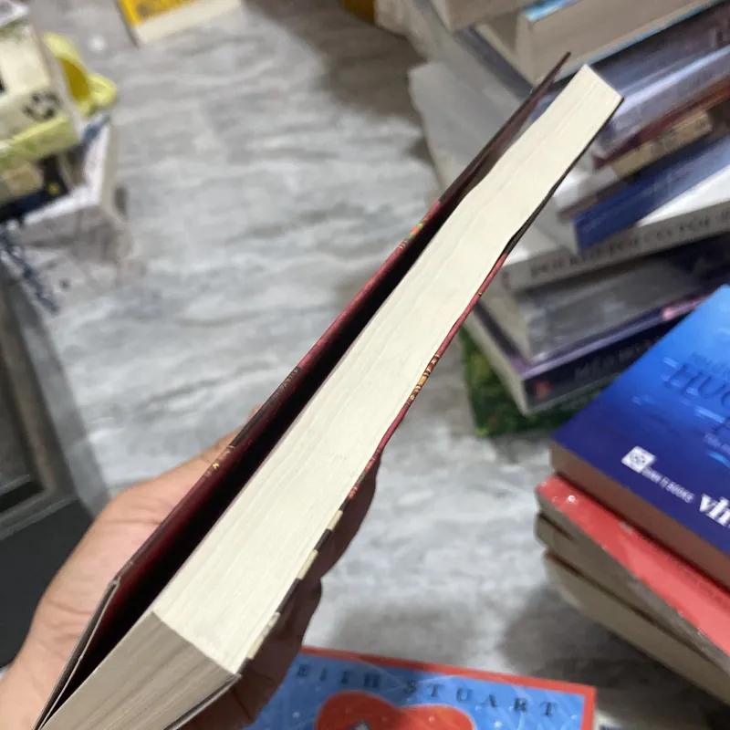 (Tiểu thuyết) - Hoàng tử và chú bé nghèo khổ - Mark Twain 972447