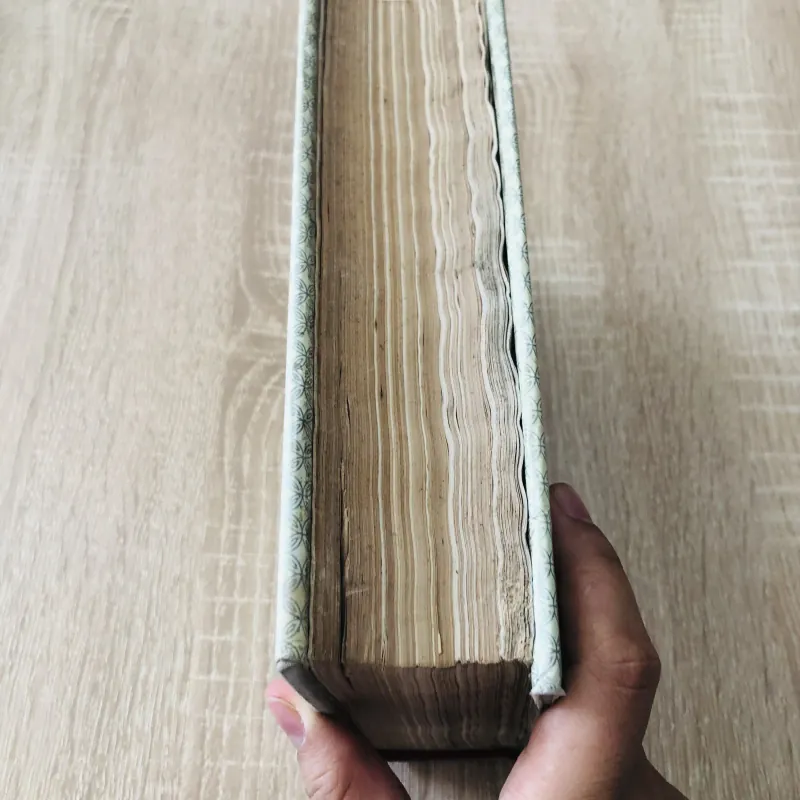 TỪ ĐIỂN TIẾNG VIỆT 1000538