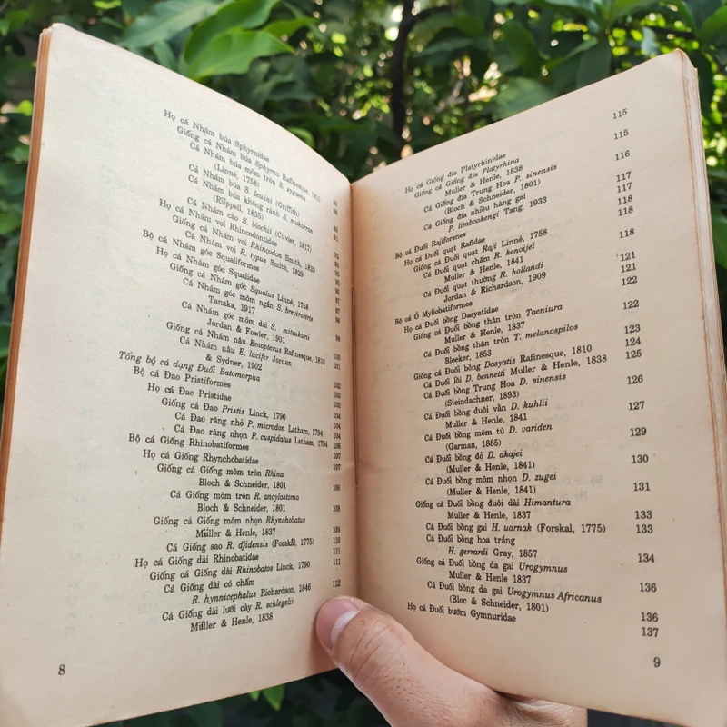 Cá Biển Việt Nam - The Marine Fishes Of VietNam - Tập 1 526446